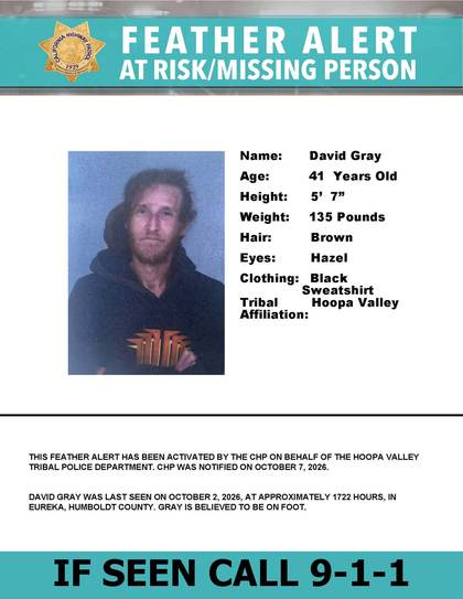 Missing person flyer for David Gray
