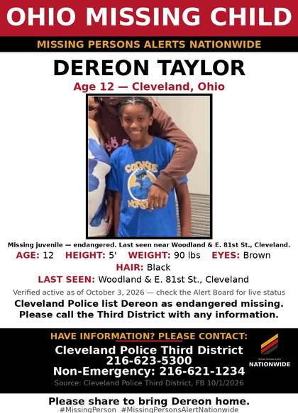 Missing person flyer for Dereon Taylor
