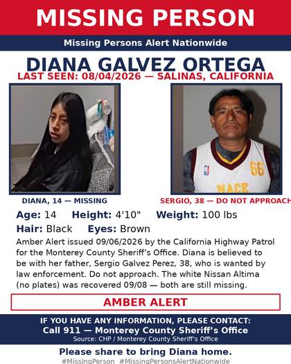 Found safe flyer for Diana Galvez Ortega