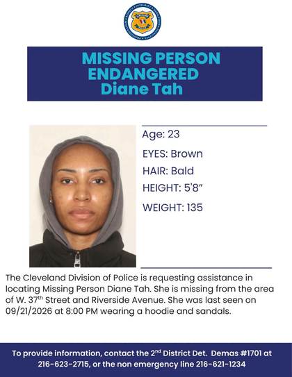 Missing person flyer for Diane Tah