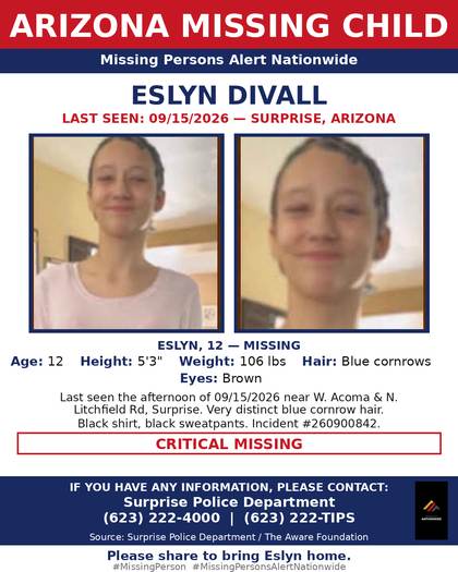 Missing person flyer for Eslyn Divall