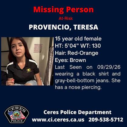 Missing person flyer for Teresa Provencio