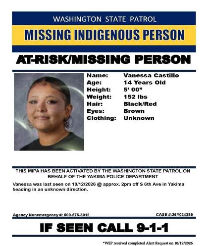 Missing person flyer for Vanessa Castillo